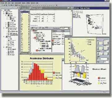 PolyAnalyst Workplace -  